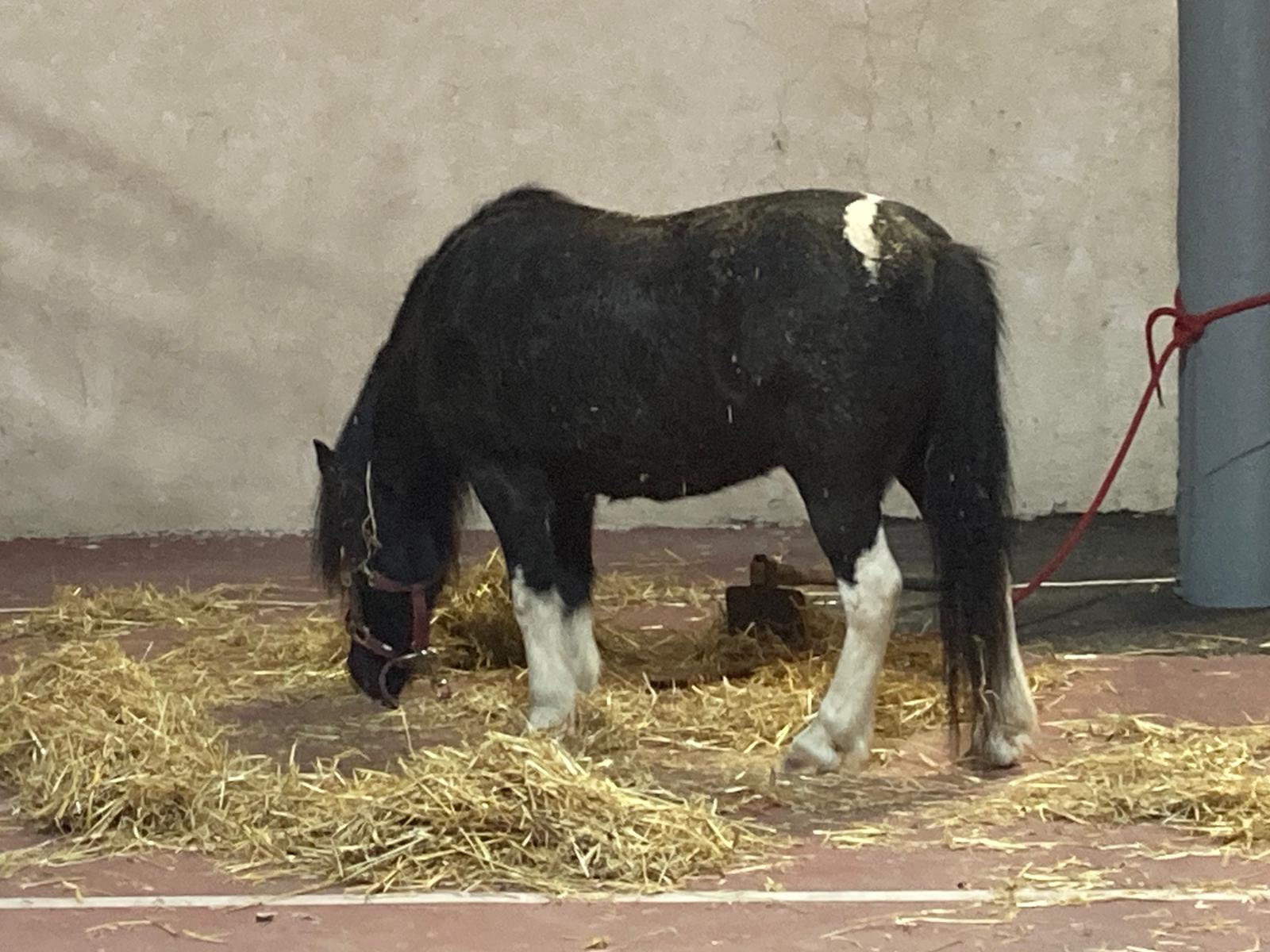 WhatsApp Image 2020-10-29 at 7.51.20 PM (2).jpeg.jpeg